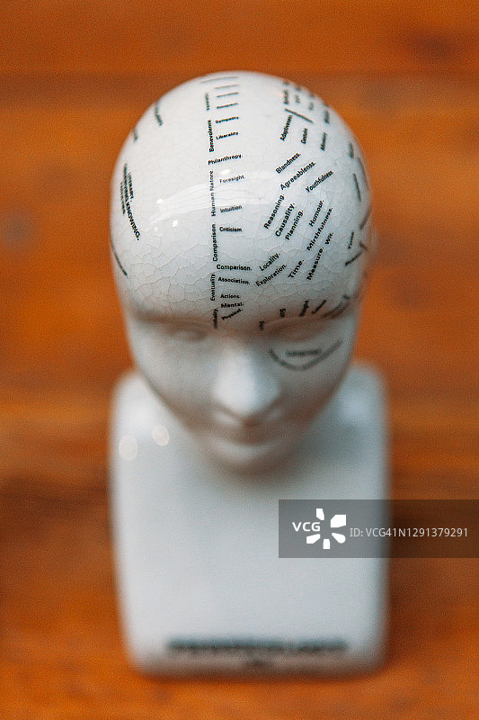 陶瓷颅相学头像，带文字图片素材