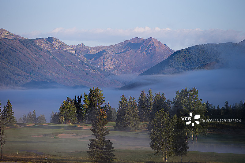 2020年高尔夫图片素材