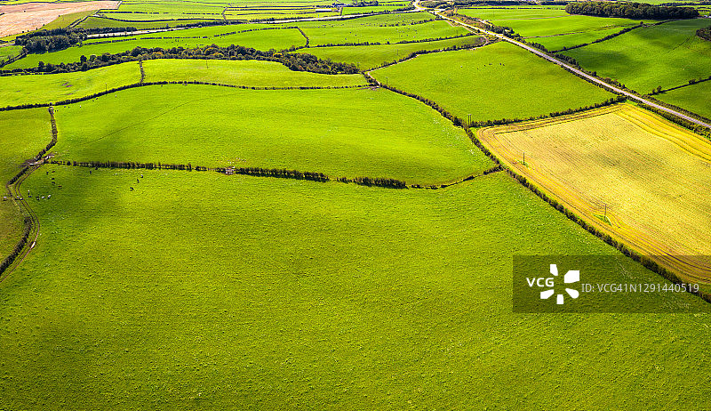 乡村风光 - 树篱环绕的田野图片素材