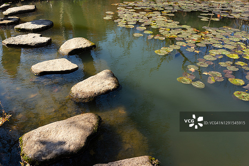 池塘中的石阶图片素材