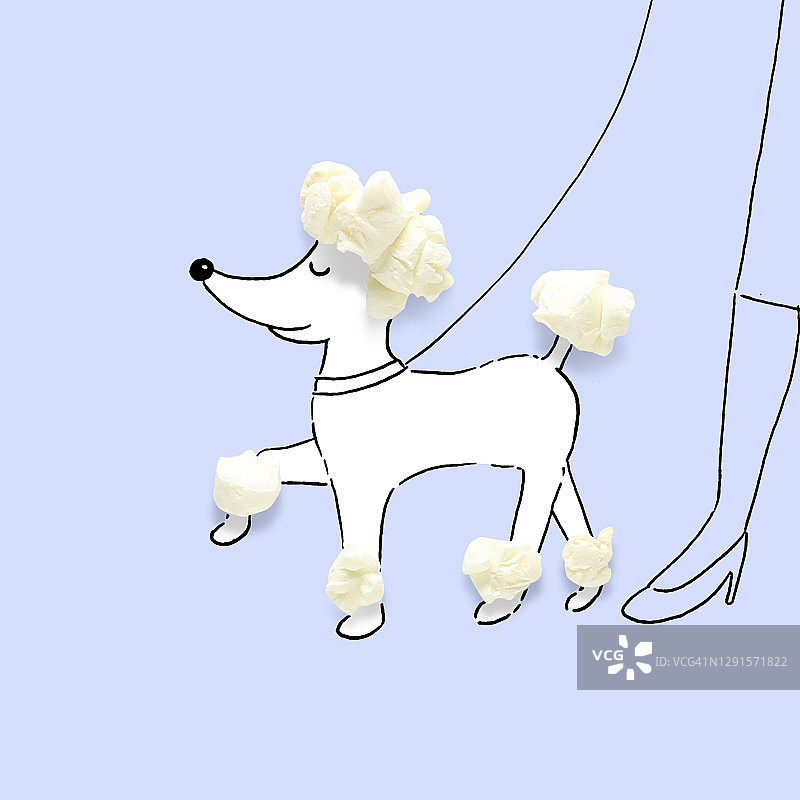 遛贵宾犬的女性概念图图片素材