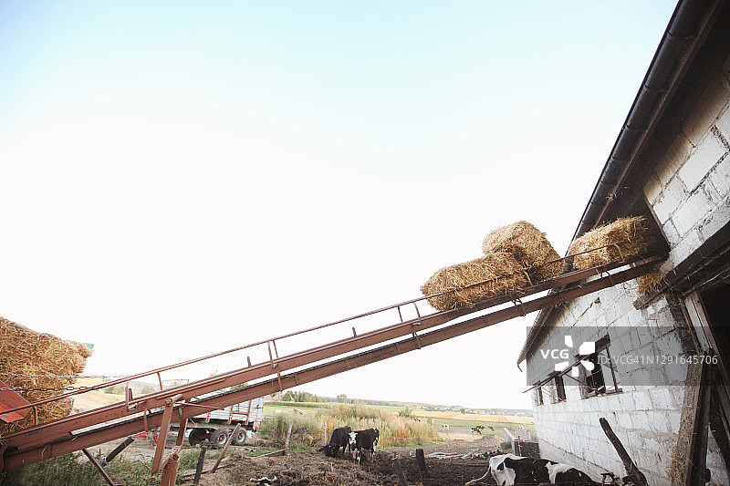 传送带上的干草堆图片素材