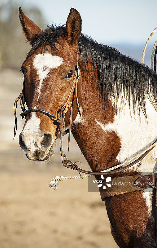 牧场工人图片素材