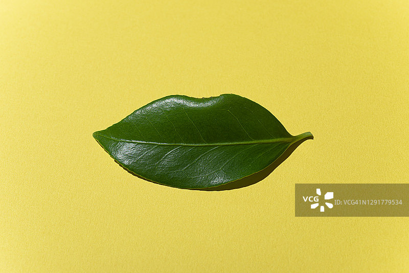 来自大自然的微笑图片素材