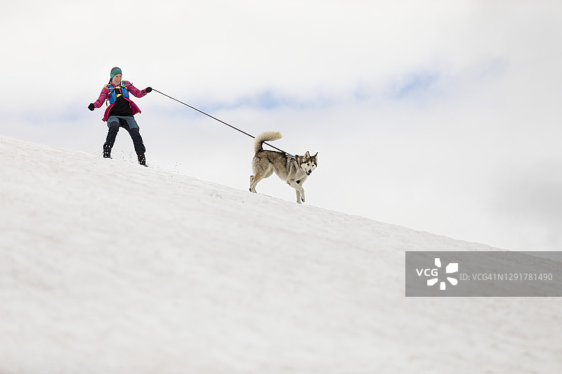 女子与哈士奇犬徒步旅行图片素材