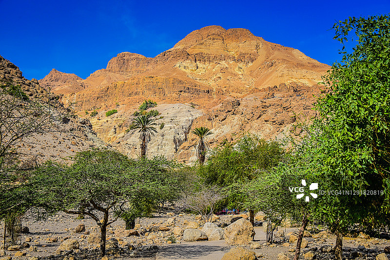 以色列恩戈地自然保护区图片素材