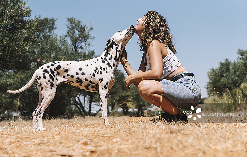 阳光明媚的日子里，小狗舔舐着蹲在田野上的年轻女子的脸图片素材