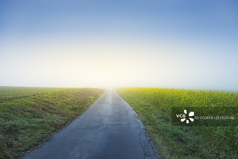 日出时穿过油菜田和蓝天的乡间小路图片素材