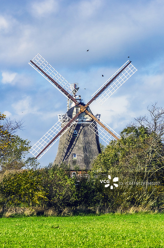 田野中的木制风车图片素材