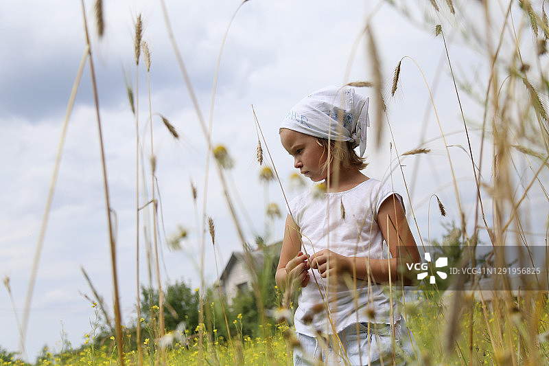 收割前田野里的俄罗斯女孩图片素材