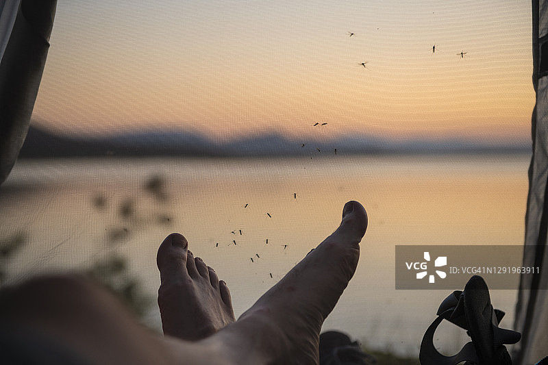 男性徒步旅行者在帐篷内的脚，蚊子在网状门廊上等待，地点：瑞典拉普兰帕耶兰塔莱登步道Staloluokta图片素材