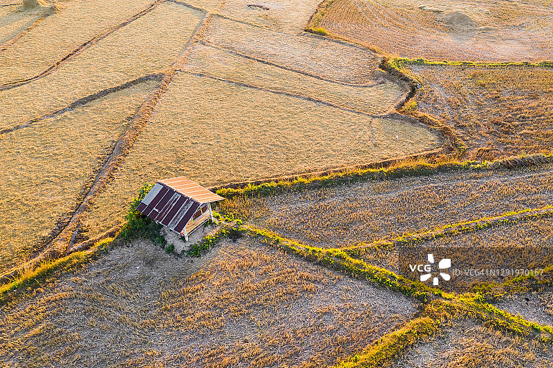 泰国北部楠府稻田收割后的航拍图图片素材