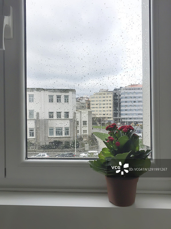 雨天窗台上的盆栽图片素材