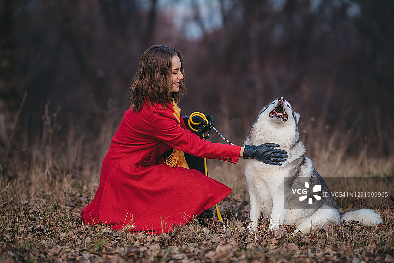 与哈士奇犬在户外的年轻女人图片素材
