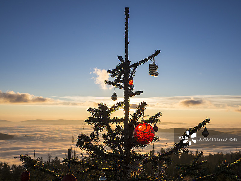 雾蒙蒙日落时分霍格斯塔特山顶的圣诞树图片素材