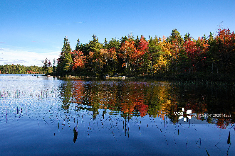 加拿大新斯科舍省凯基姆库吉克国家公园美丽的秋叶图片素材
