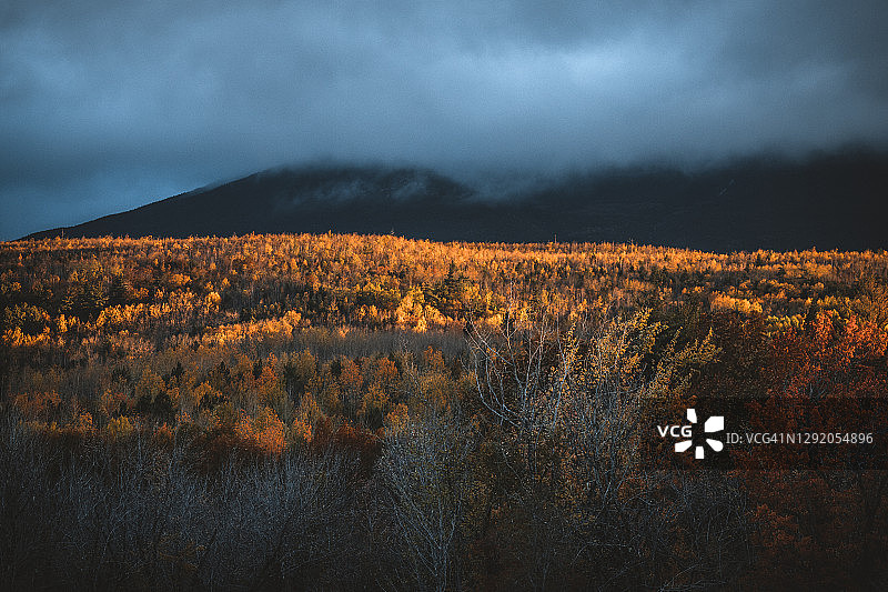 缅因州北部森林的清晨光线图片素材