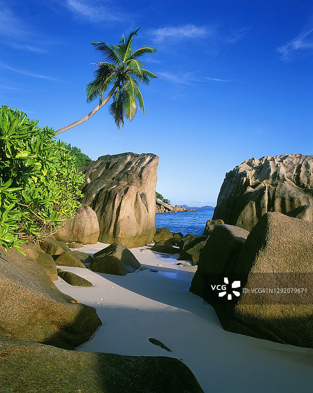 塞舌尔拉迪格岛Anse Patates海滩的巨石图片素材