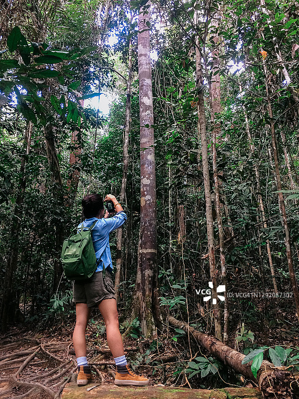 探索印度尼西亚加里曼丹的热带森林图片素材