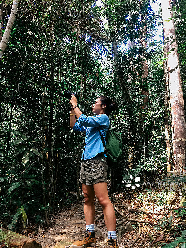 探索印度尼西亚加里曼丹的热带森林图片素材