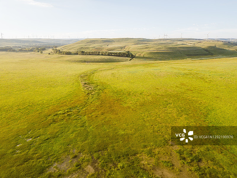 晴空下绿色草甸鸟瞰图图片素材