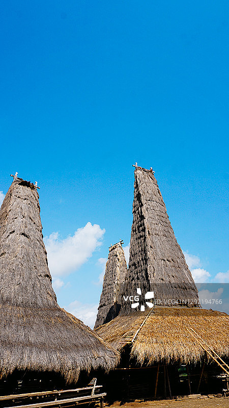 印尼松巴岛拉滕加罗传统村落图片素材