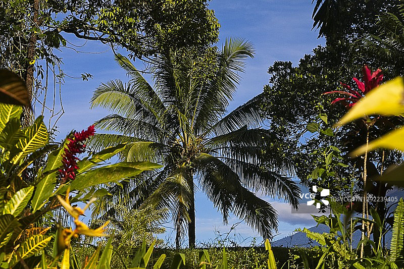 印度尼西亚的奢华自然风光图片素材