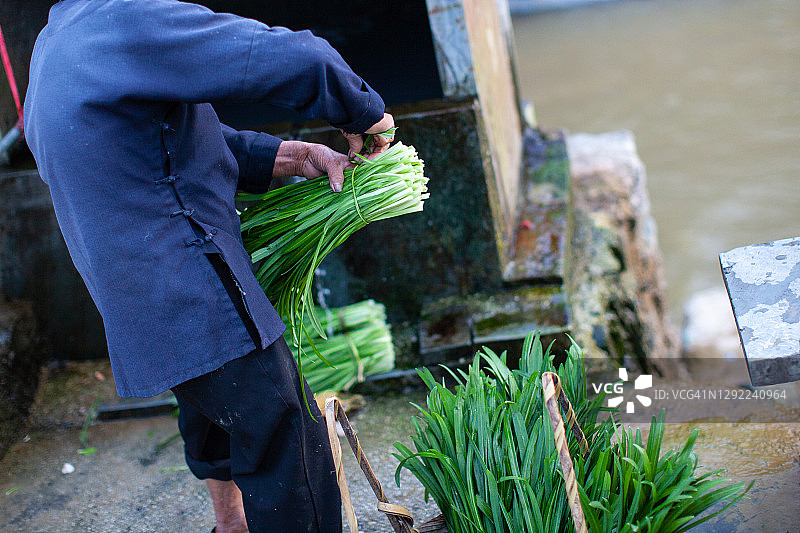 侗寨捆扎韭菜的妇女图片素材