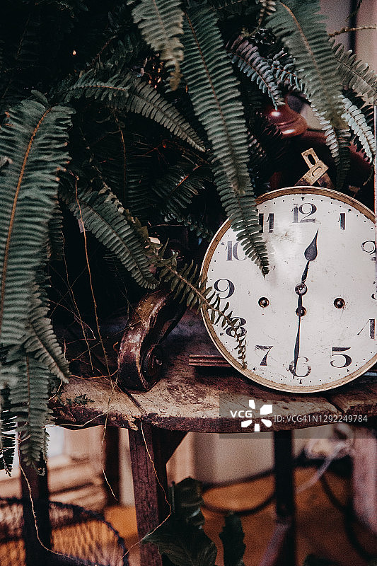 时钟和植物图片素材