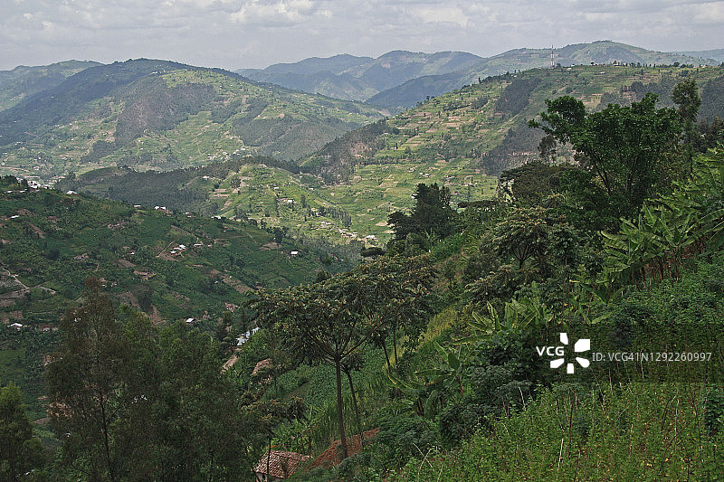 卢旺达山丘图片素材