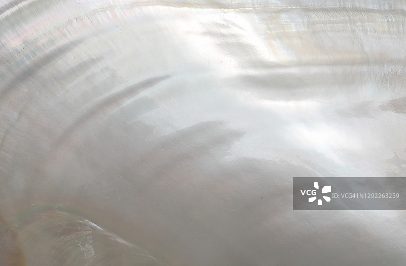 珍珠母贝，全画幅图片素材