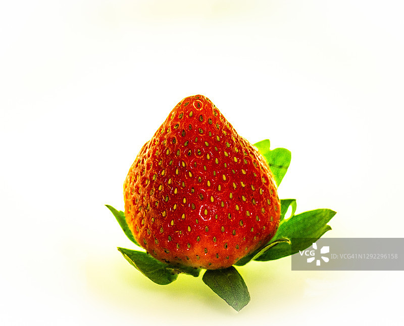 一颗成熟的红色草莓图片素材