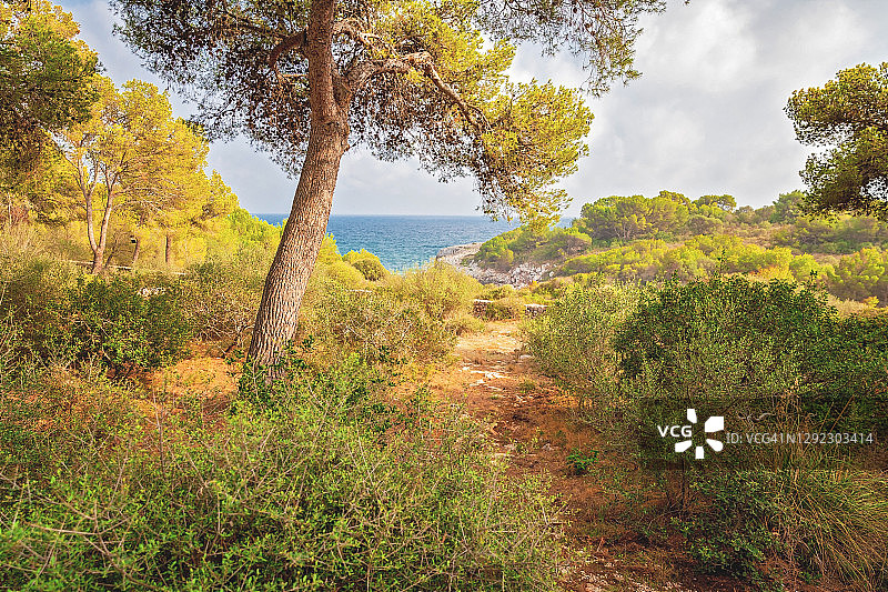 马略卡岛图片素材