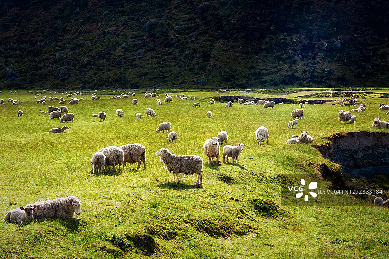 阿斯帕林山国家公园的牧羊站图片素材