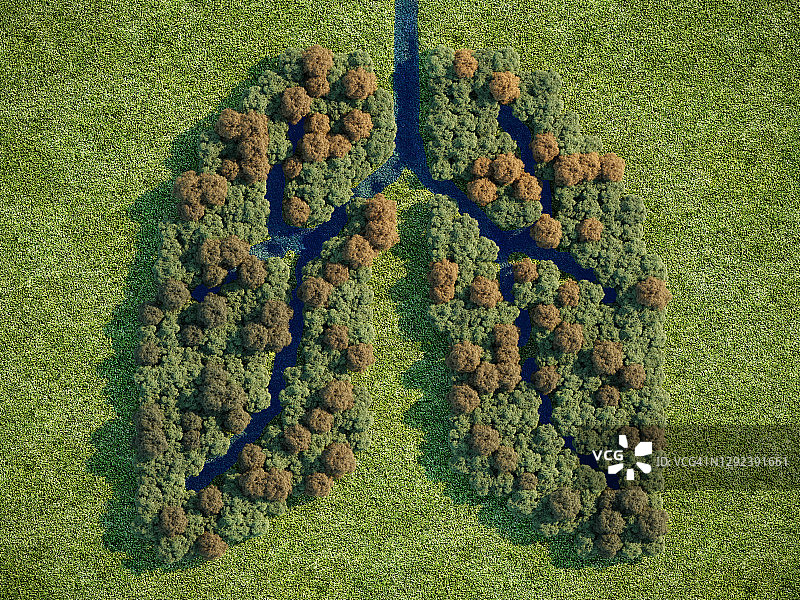 森林之肺图片素材