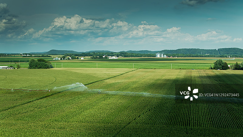 威斯康星州的大型玉米田的灌溉轮浇水 - 无人机拍摄图片素材