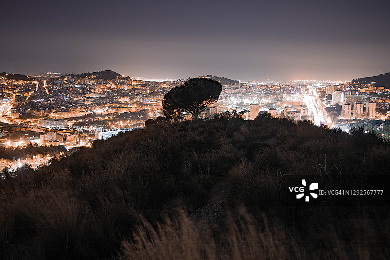 山顶上的孤树，背景是城市灯光图片素材