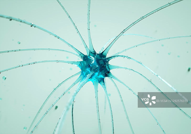 神经元图片素材