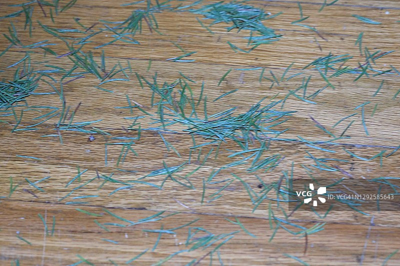 室内圣诞树上掉落的松针图片素材