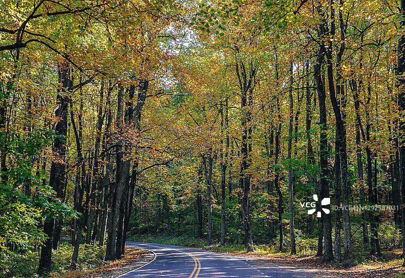 弗吉尼亚州雪兰多国家公园秋季 Skyline Drive 森林景观图片素材