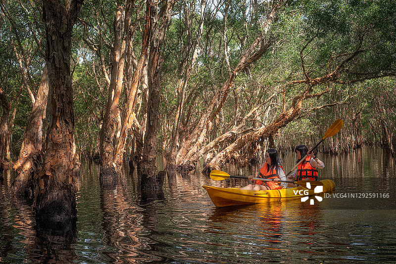 皮划艇旅行：女子在泰国罗勇府的泥炭沼泽森林湿地中划透明独木舟图片素材