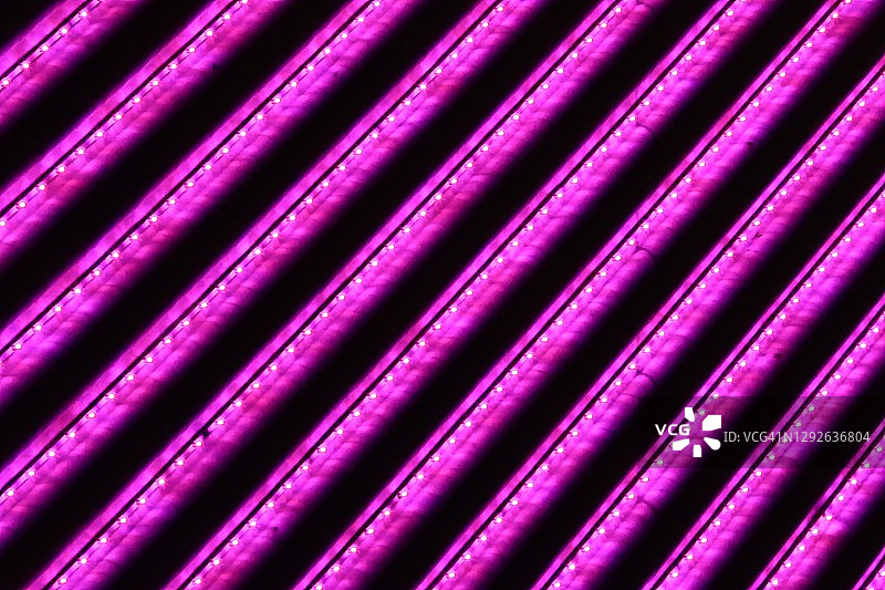 灯光秀图片素材