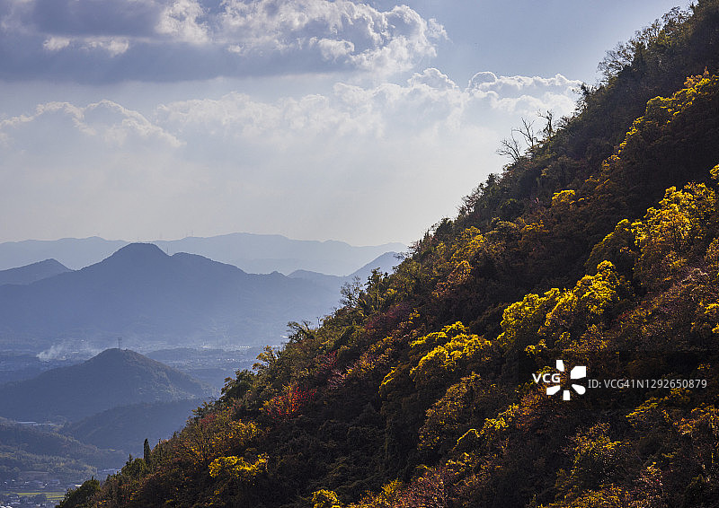 日本香川县四国地区的秋色山坡图片素材