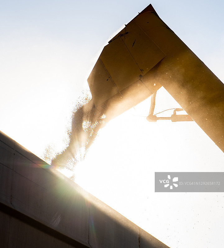 装载谷物图片素材