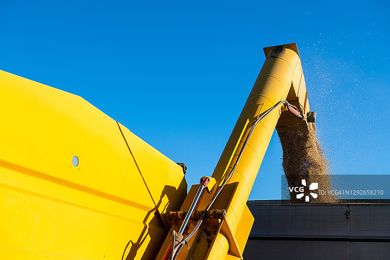 装载谷物图片素材