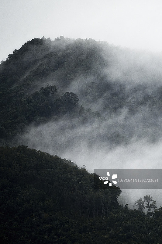 泰国南部山区雾气弥漫的清晨阳光图片素材