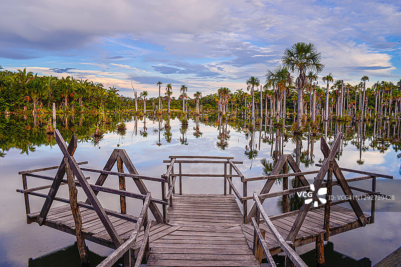 巴西马托格罗索州诺布雷斯：阿拉拉斯湖——金刚鹦鹉湖图片素材