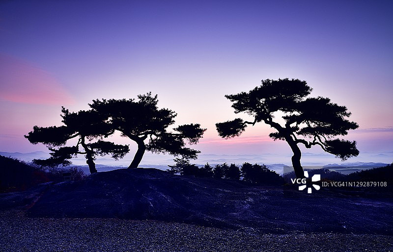 韩国闻庆松树日出景色图片素材