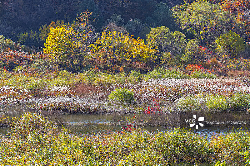 韩国济南注川生态公园景观图片素材
