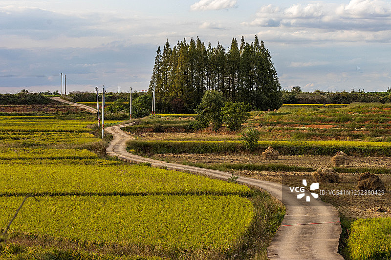 韩国平泽的乡村田野风光图片素材